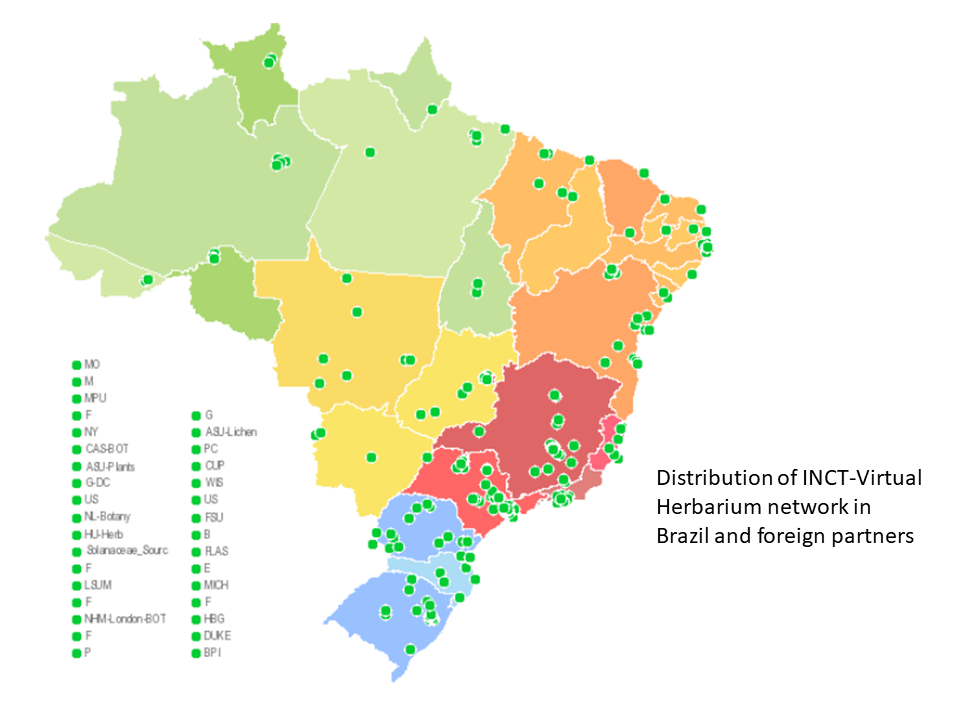 Network Map