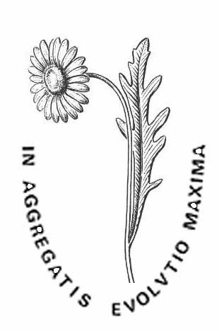 logo for Instituto de Botánica Darwinion