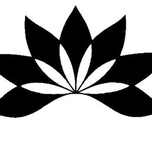 logo for Tsitsin Main Botanical Garden